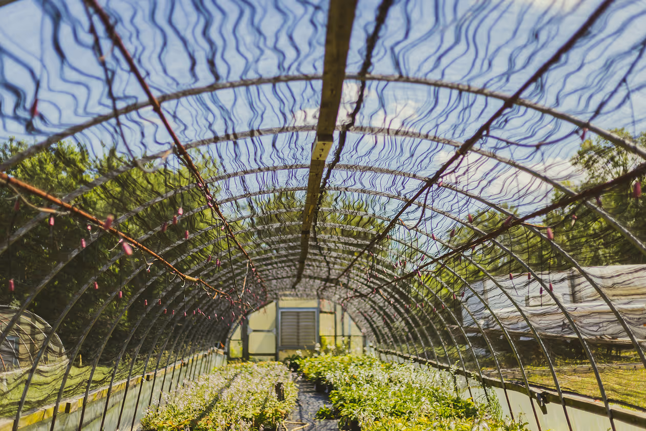 greenhouse solutions