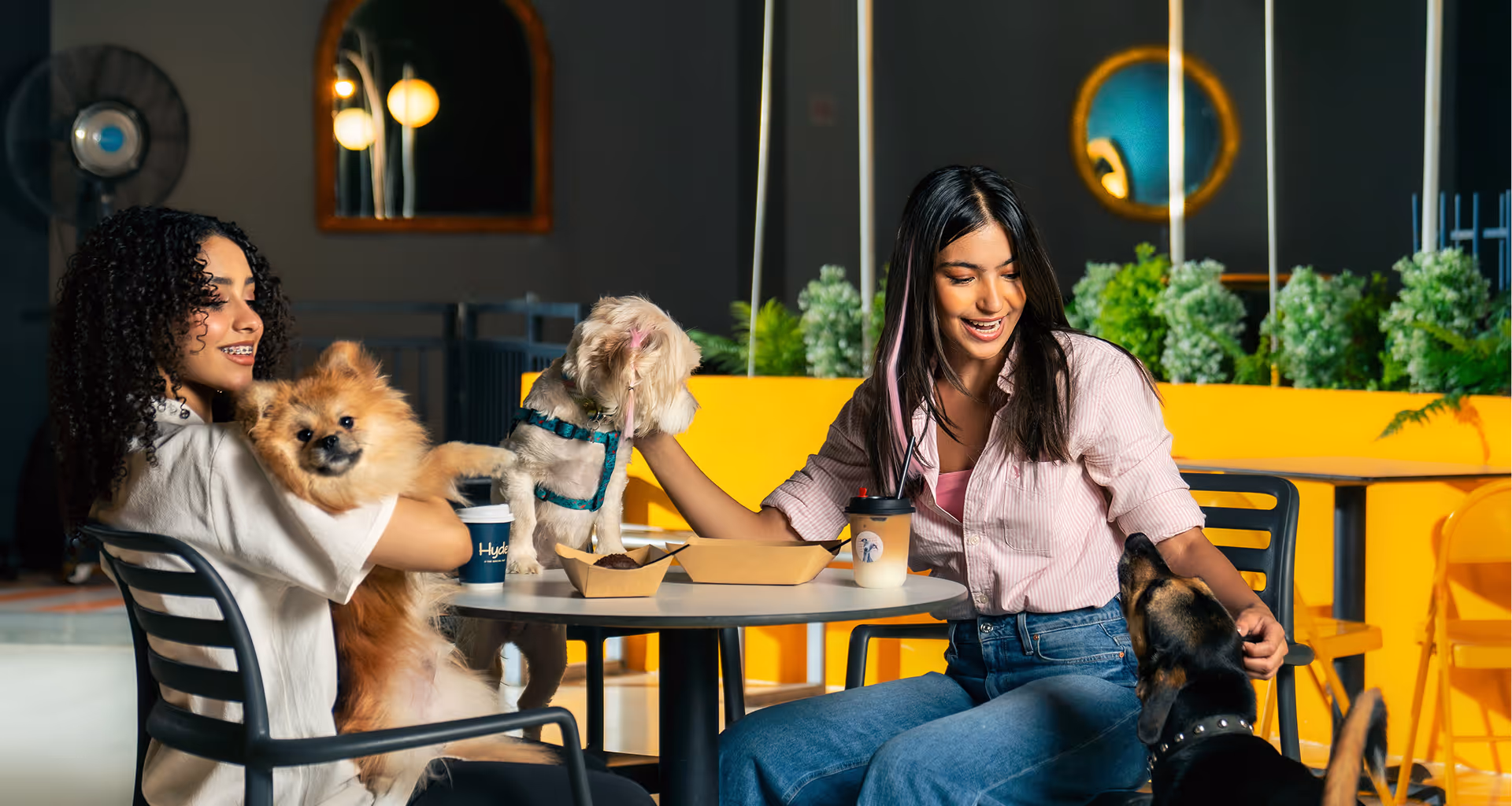The Social Pup Customers
