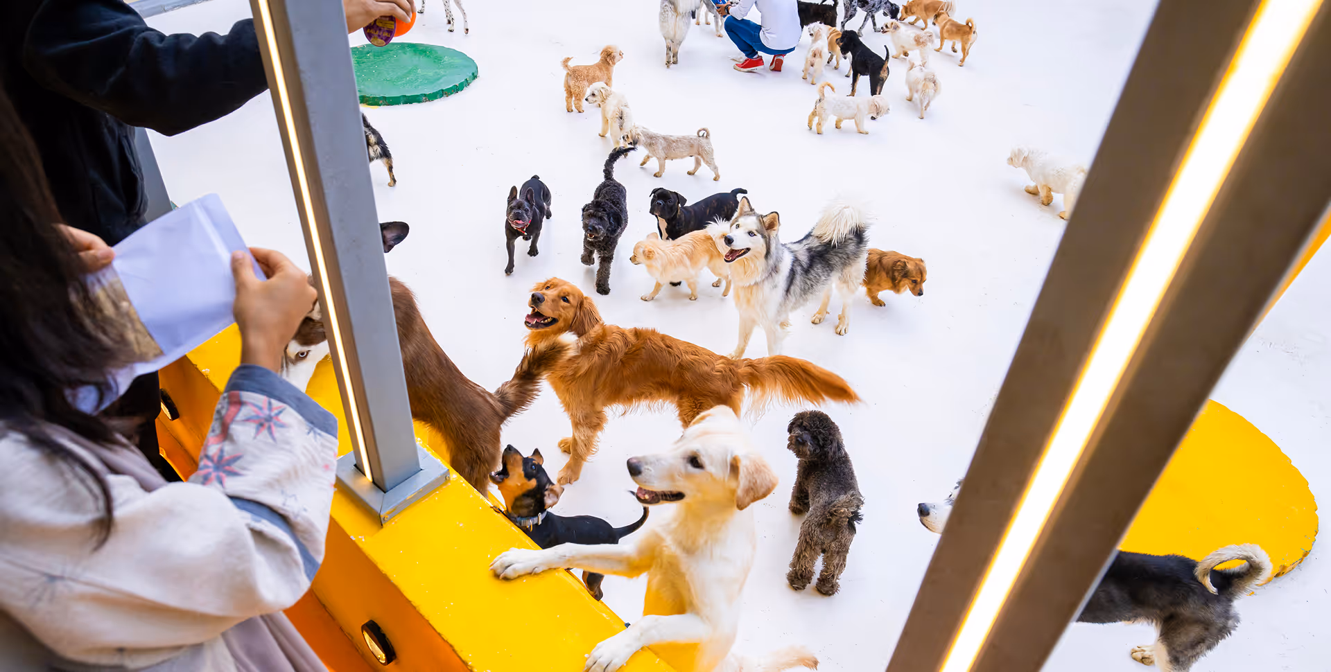 The Social Pup Customers