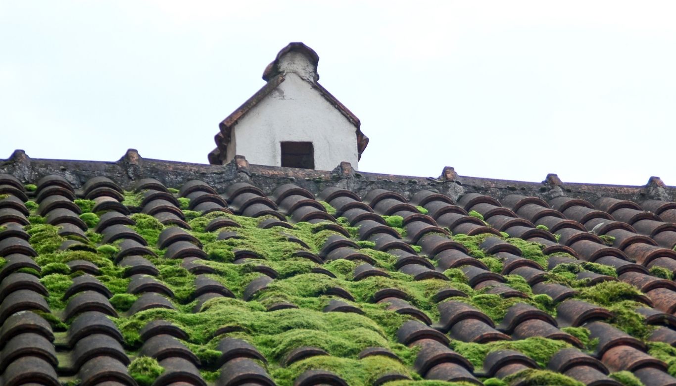 how to remove hard water spots from glass​