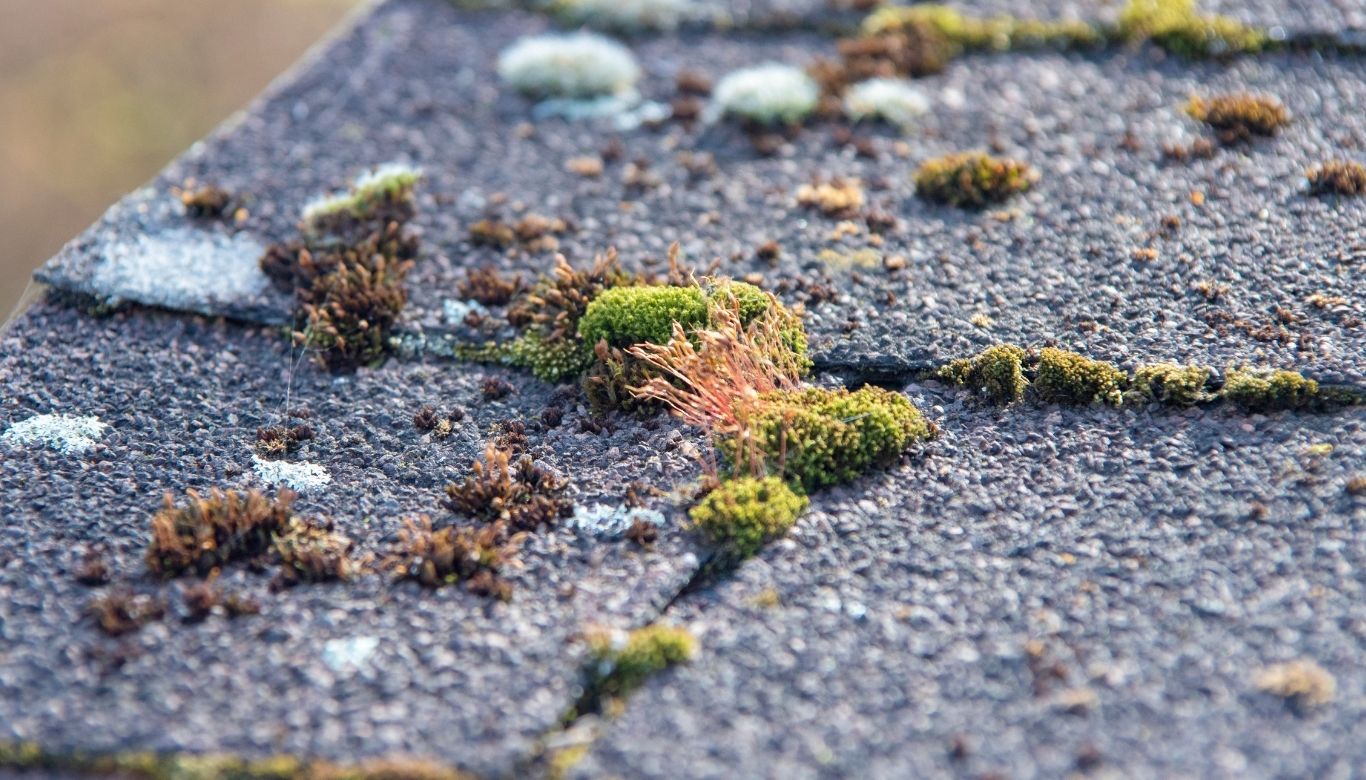 how to remove hard water spots from glass​