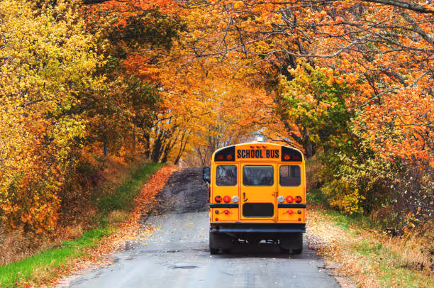 A school bus travels a narrow backroad in late Autumn.