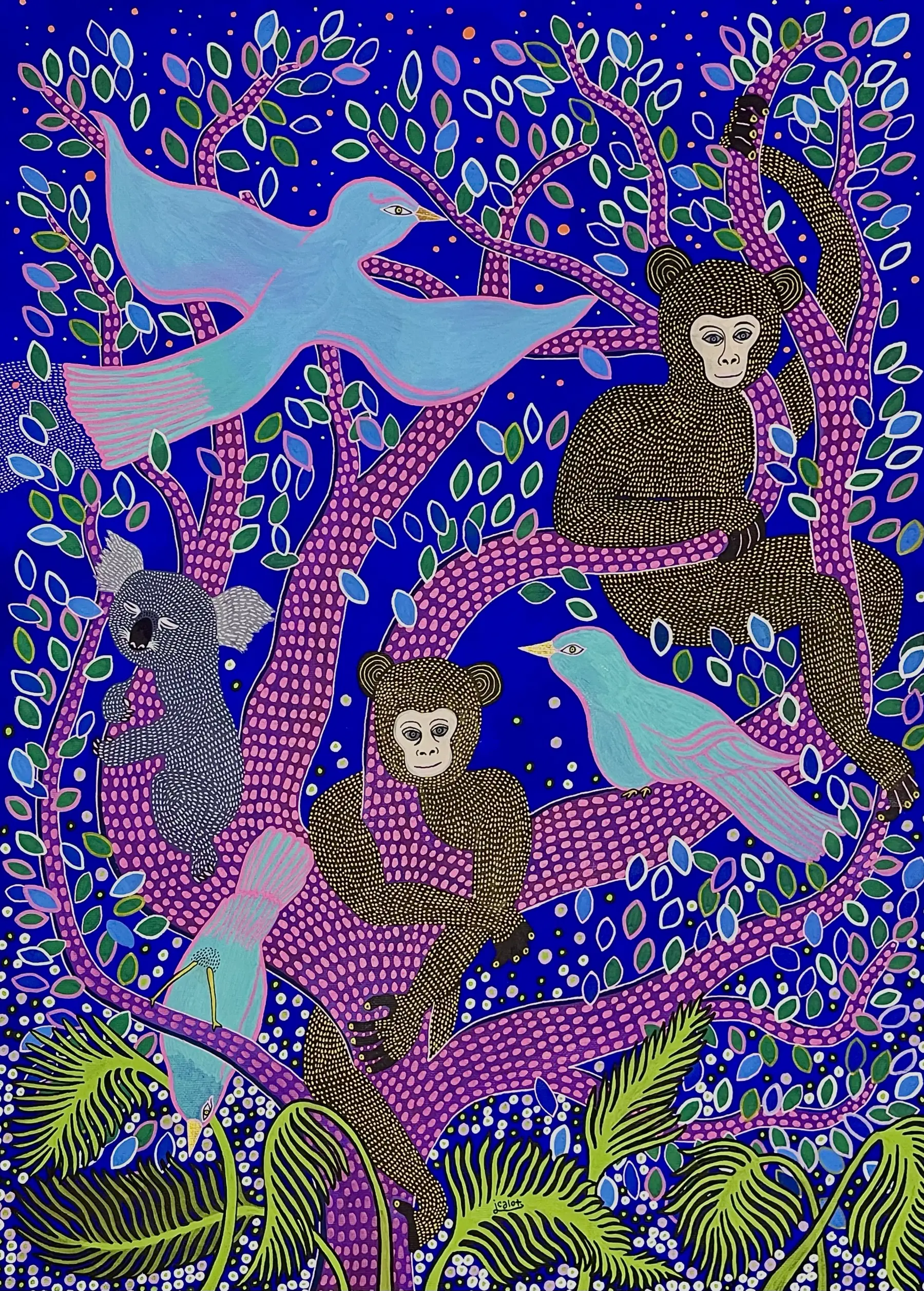 Singe, oiseaux et koala