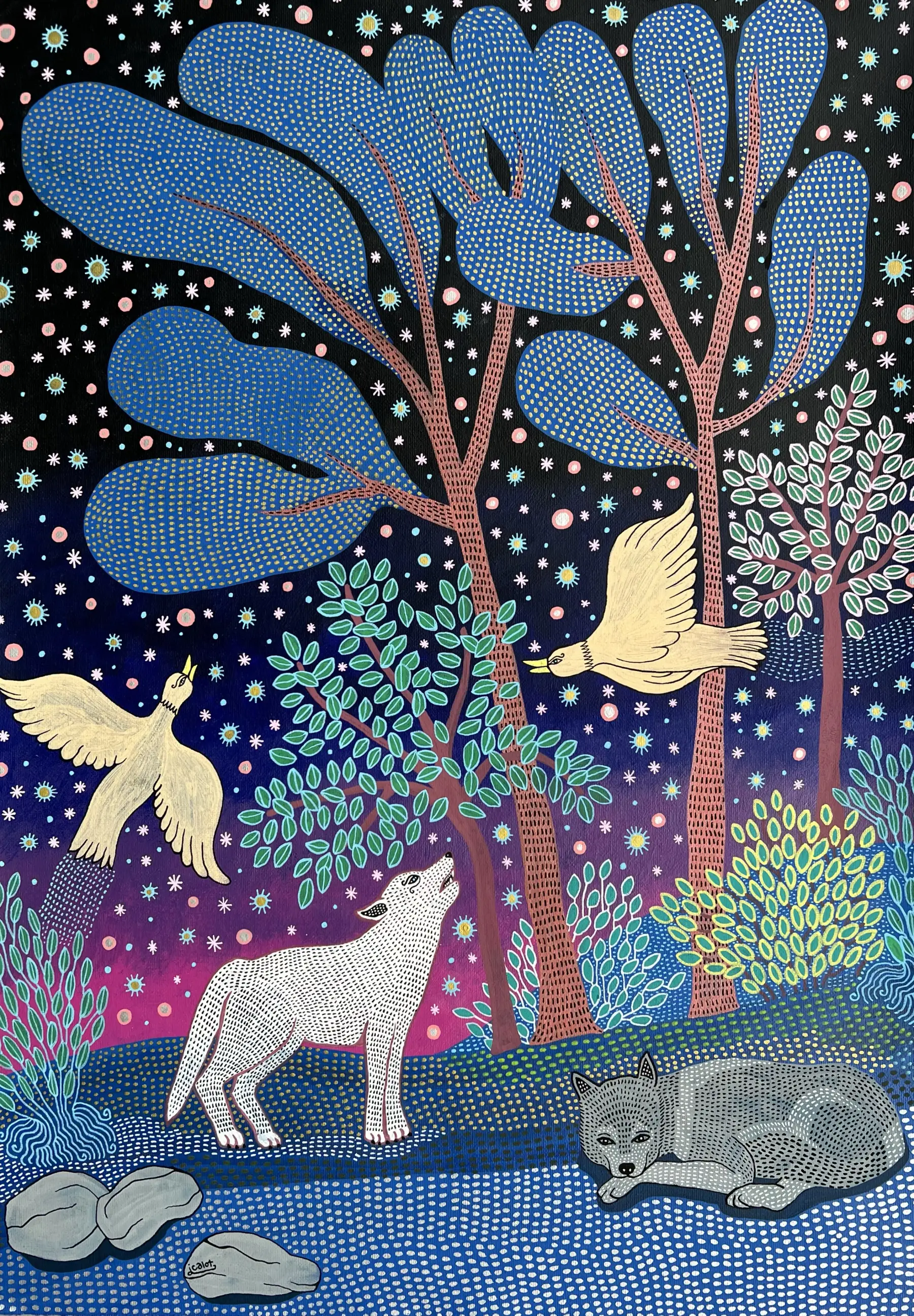 2 loups dans la nuit