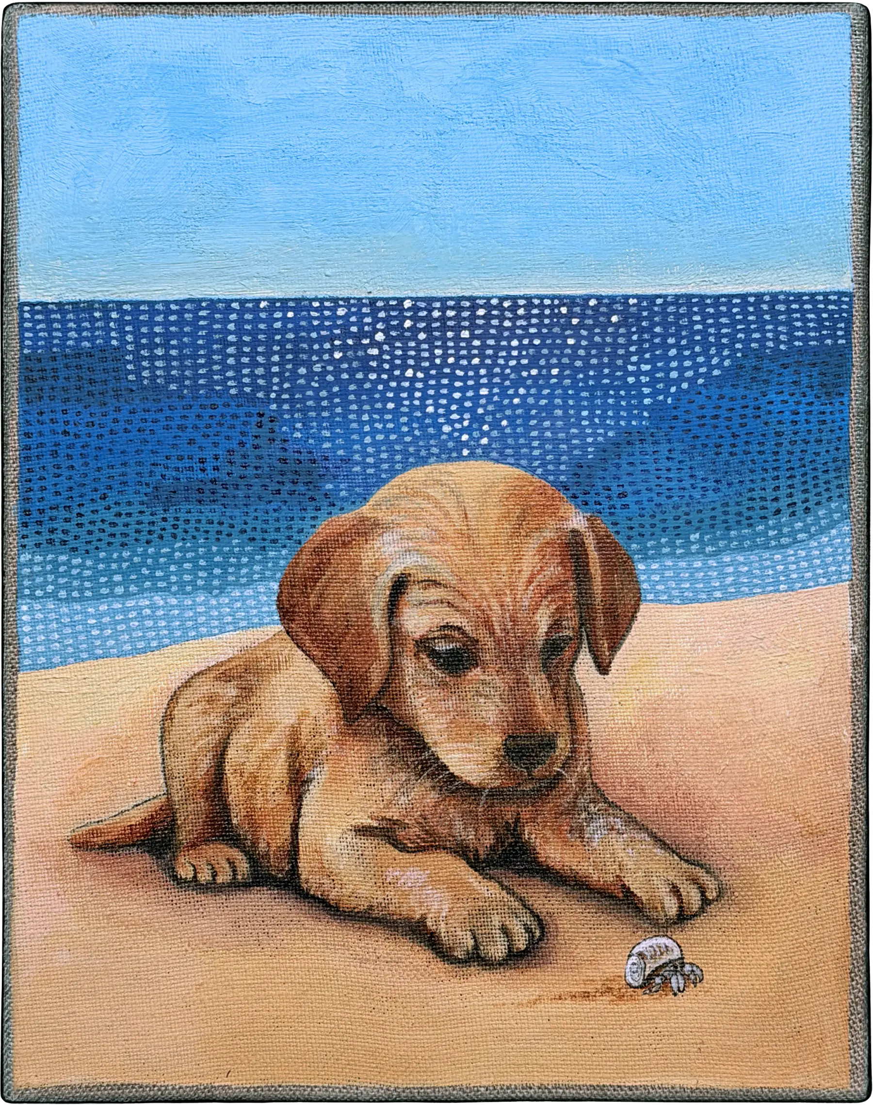 LE CHIEN ET LE bernard l'ermite