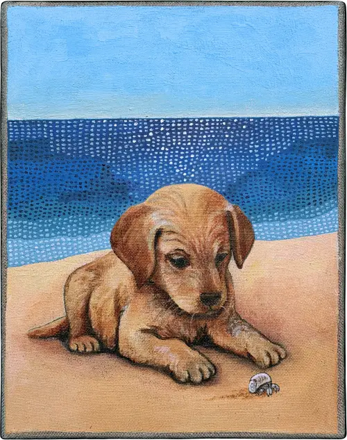 LE CHIEN ET LE bernard l'ermite