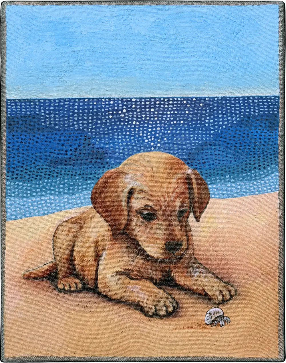 LE CHIEN ET LE bernard l'ermite