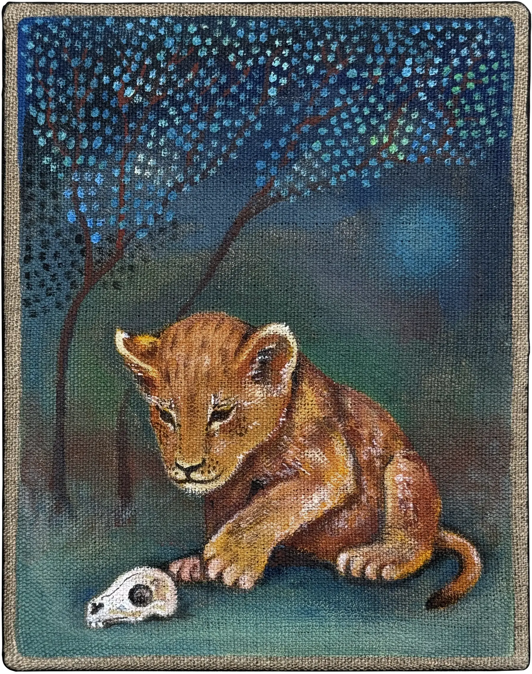 Le petit lion