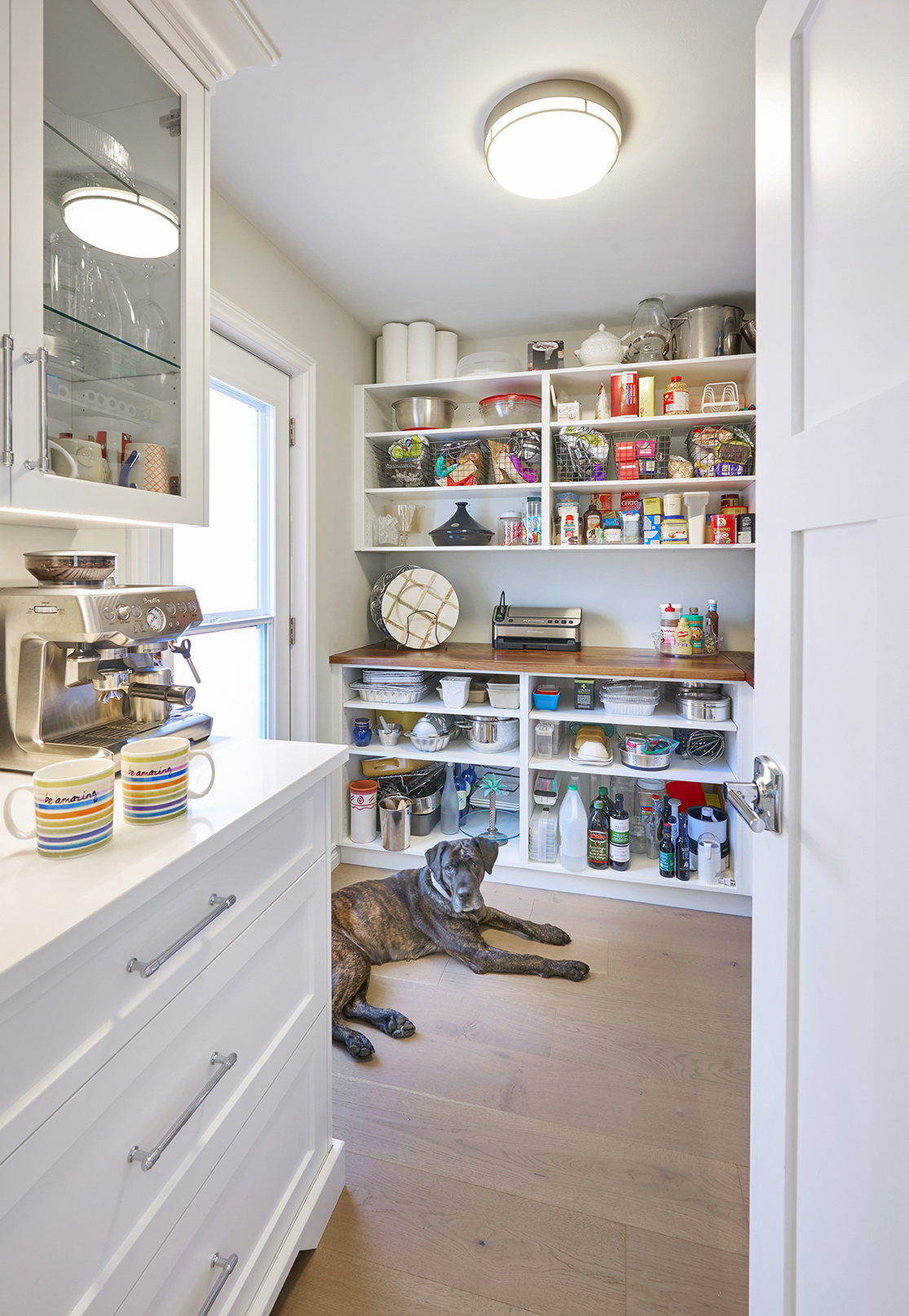 Clean Lines, Thoughtfully Designed - renovation project gallery image 4 by Pioneer Craftsmen