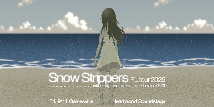 Snow Strippers