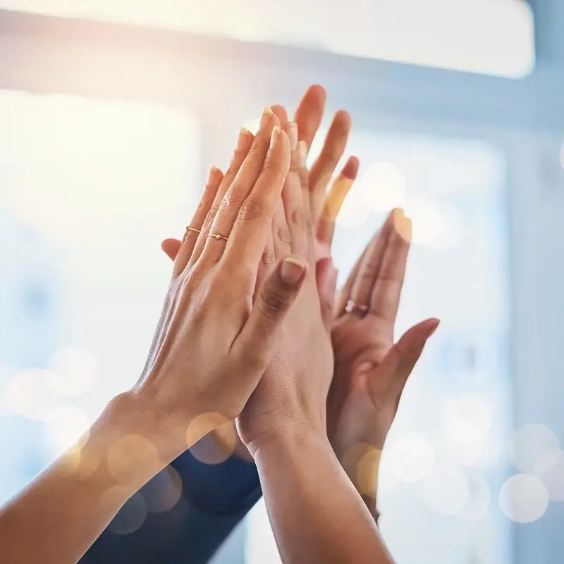 En CAE somos una organización especualizada en hacer accesible, de forma clara y sencilla, la oferta de seguros y finanzas