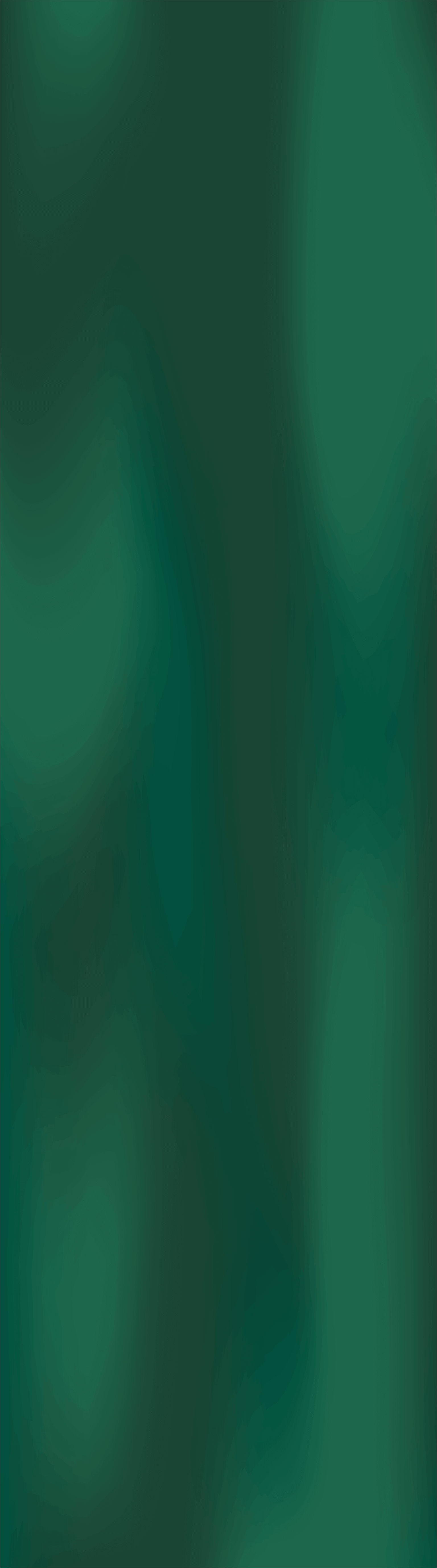 CAE Insurance Broker