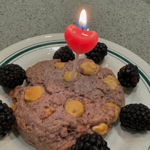 heart shaped candle in a cookie for my birthday in Toronto