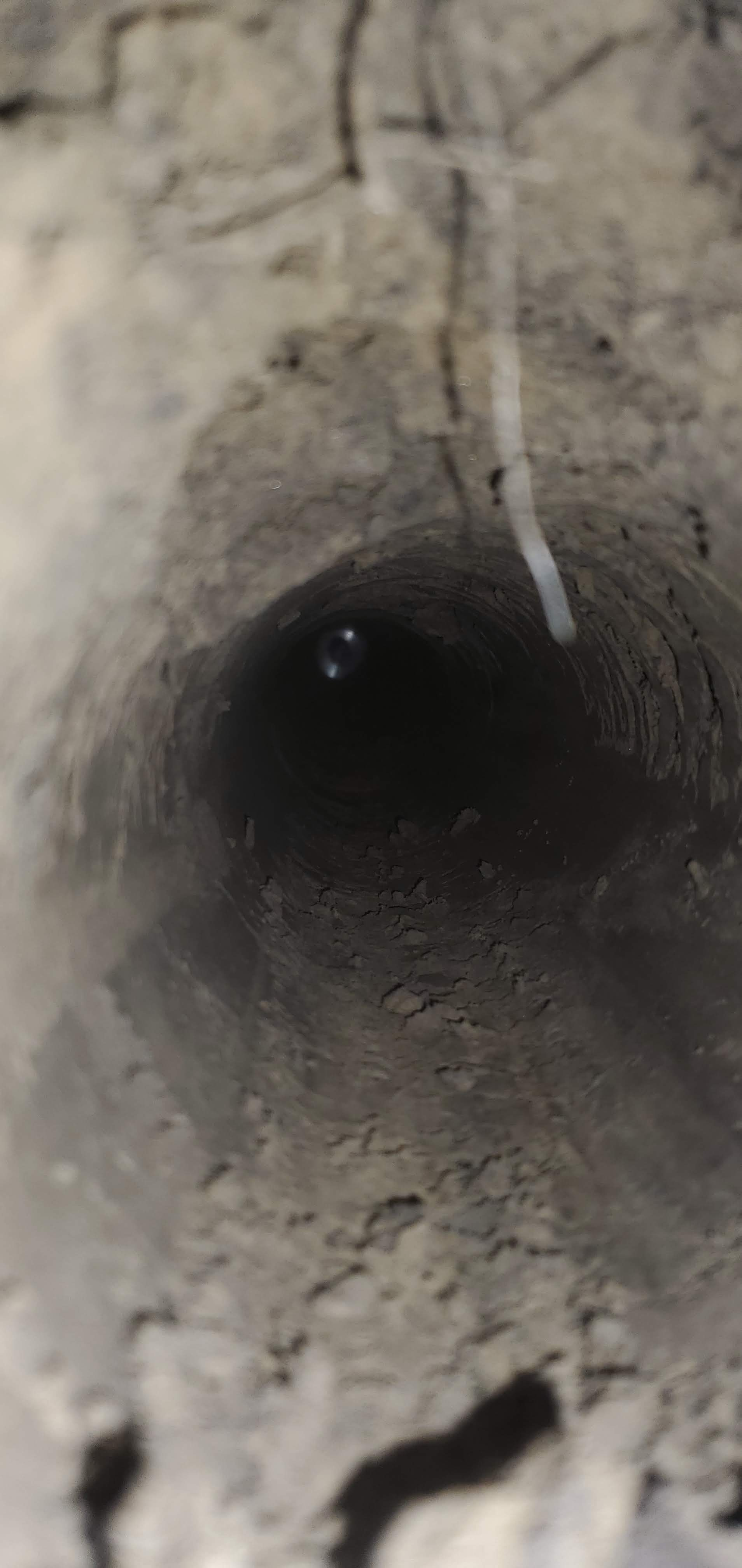 Underground picture of a Mole Plow Channel