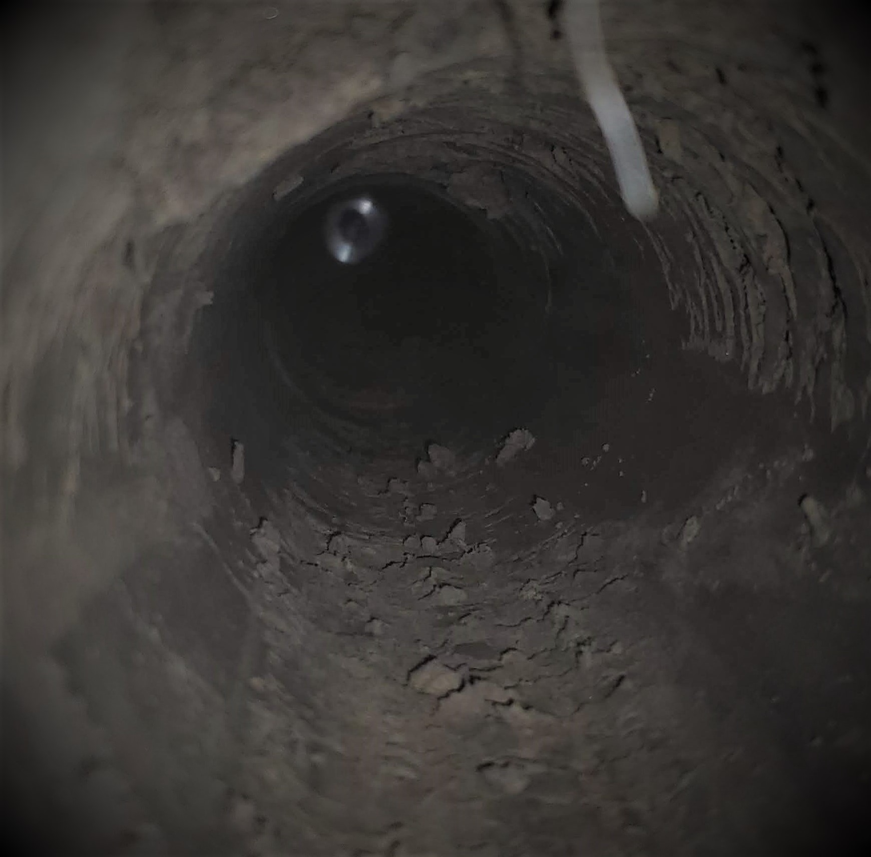 Smart Irrigation Ilustration