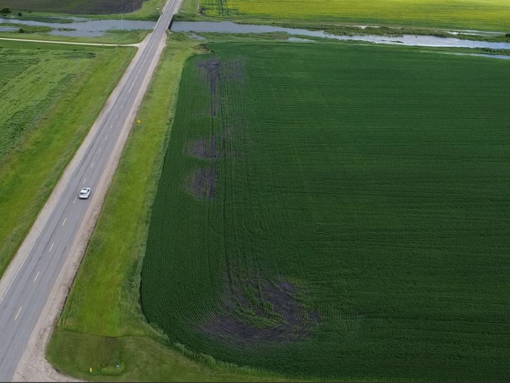 After picture of a field now having growth in bad yield areas