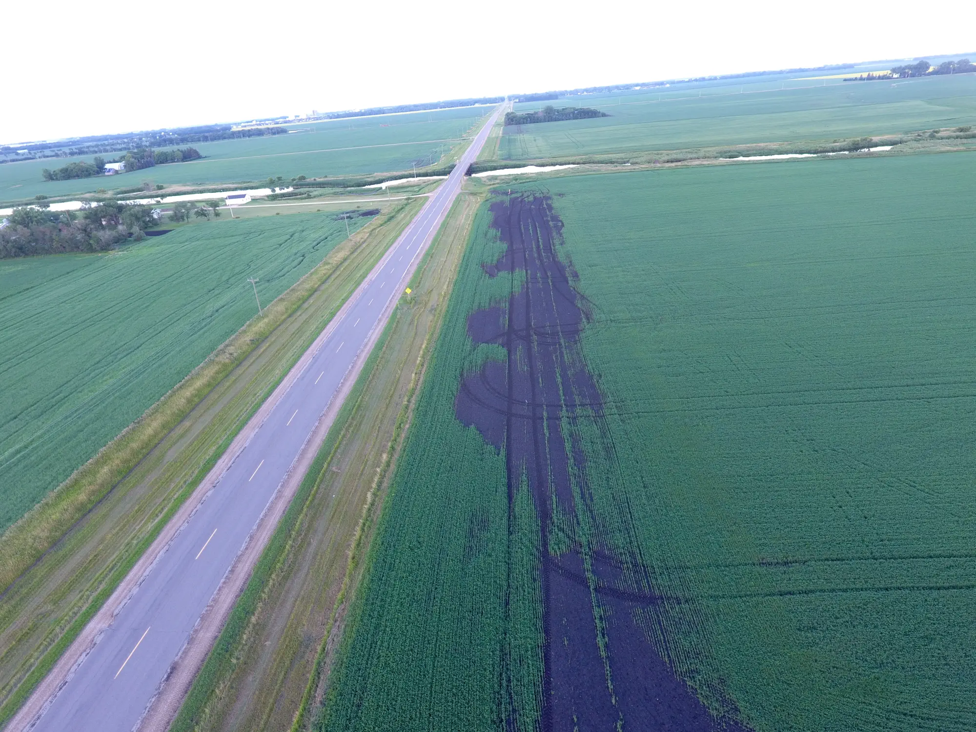 Before picture of a field with bad yield in a section of field