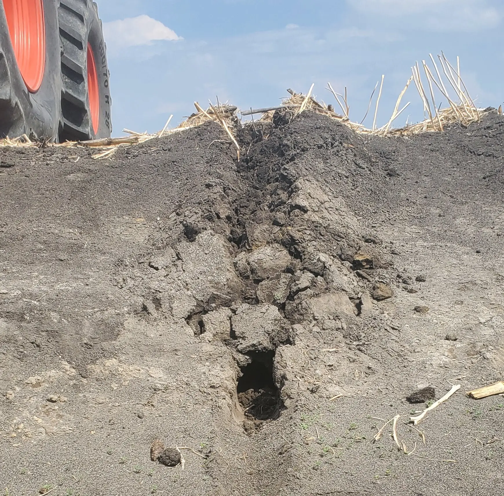 Market Insight Illustration