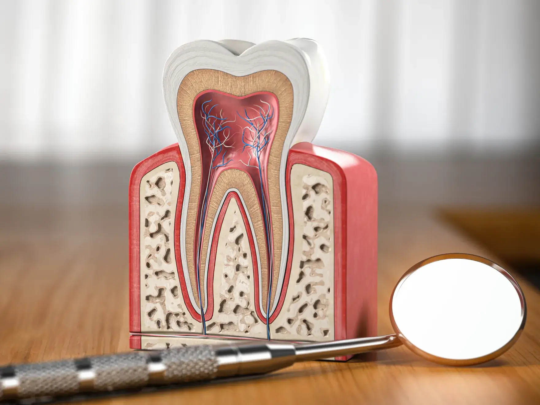 a model of a tooth with a toothbrush next to it