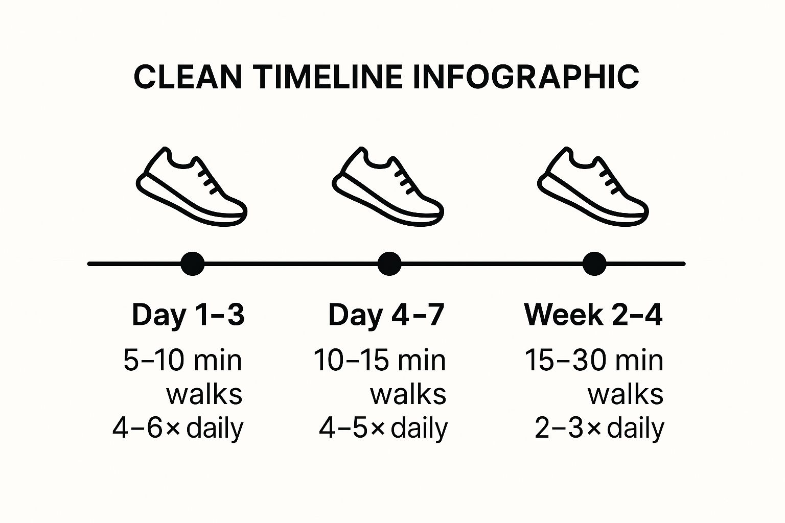 Infographic showing key data about Follow Strategic Mobility and Walking Schedule