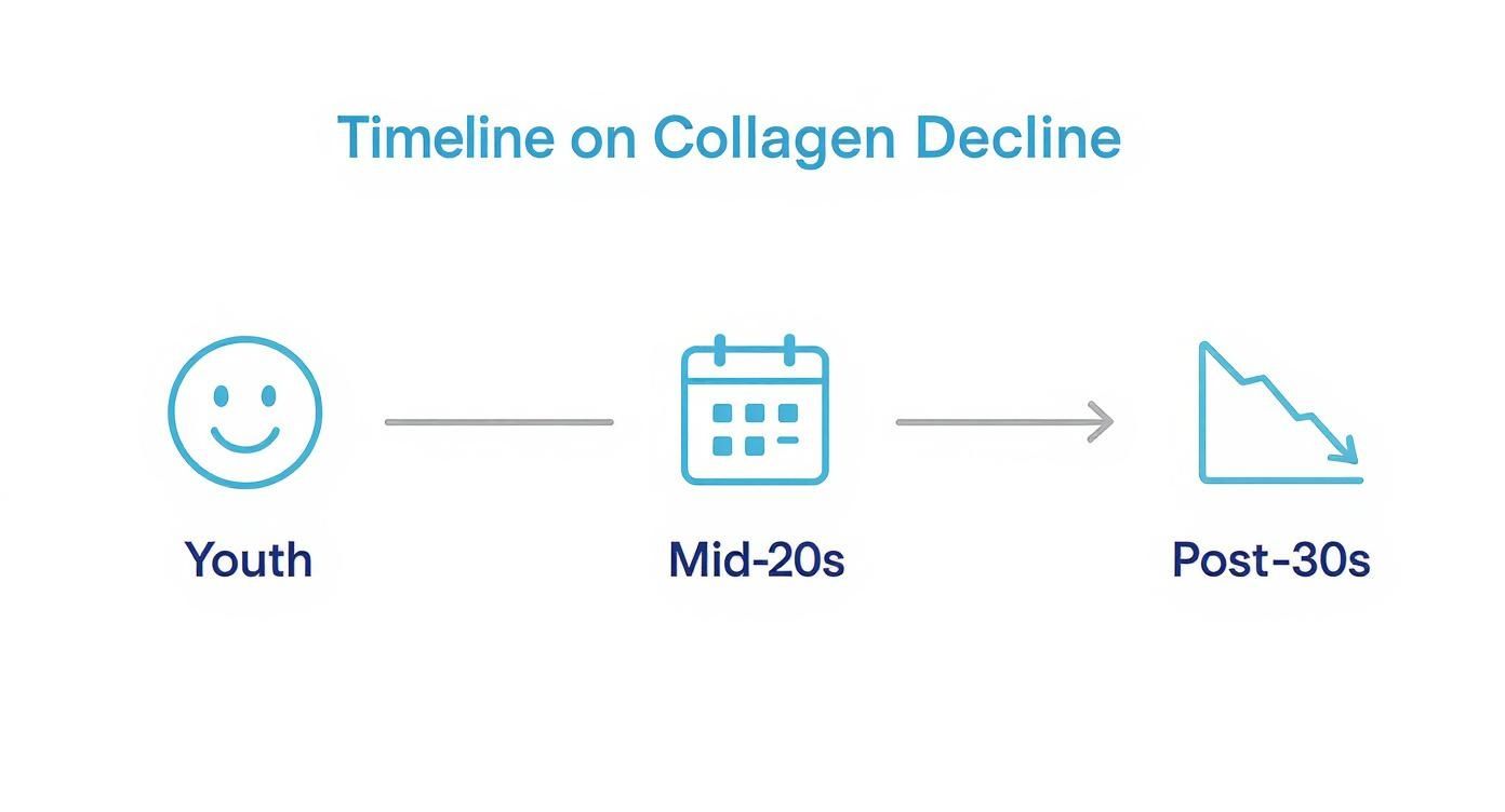 Infographic showing the stages of collagen decline from youth through mid-20s and beyond.