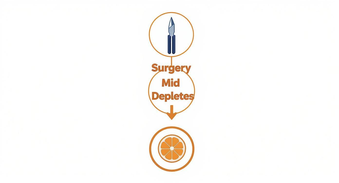 Diagram showing surgical scalpel and orange representing vitamin C depletion during mid surgery