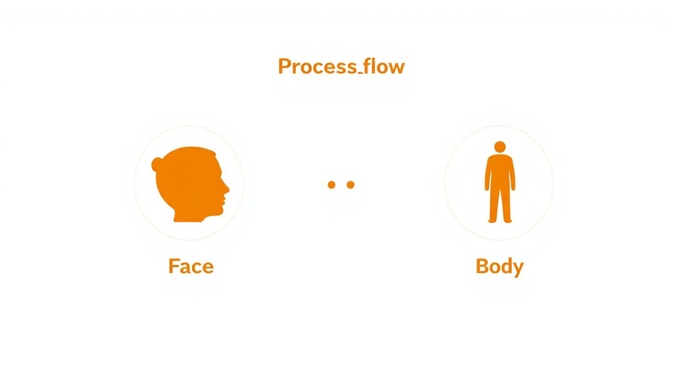 Morpheus8 treatment process flow diagram showing face and body application areas with orange icons