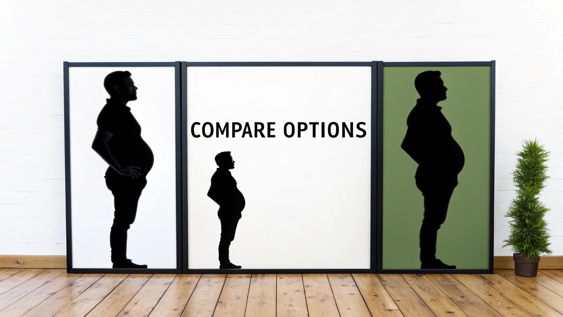 Three framed images displaying silhouettes of men with prominent bellies, one labeled 'COMPARE OPTIONS'.