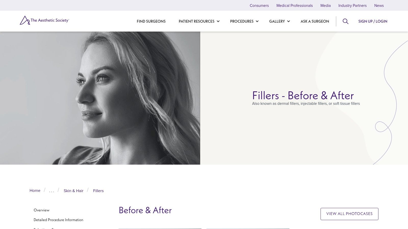 The Aesthetic Society