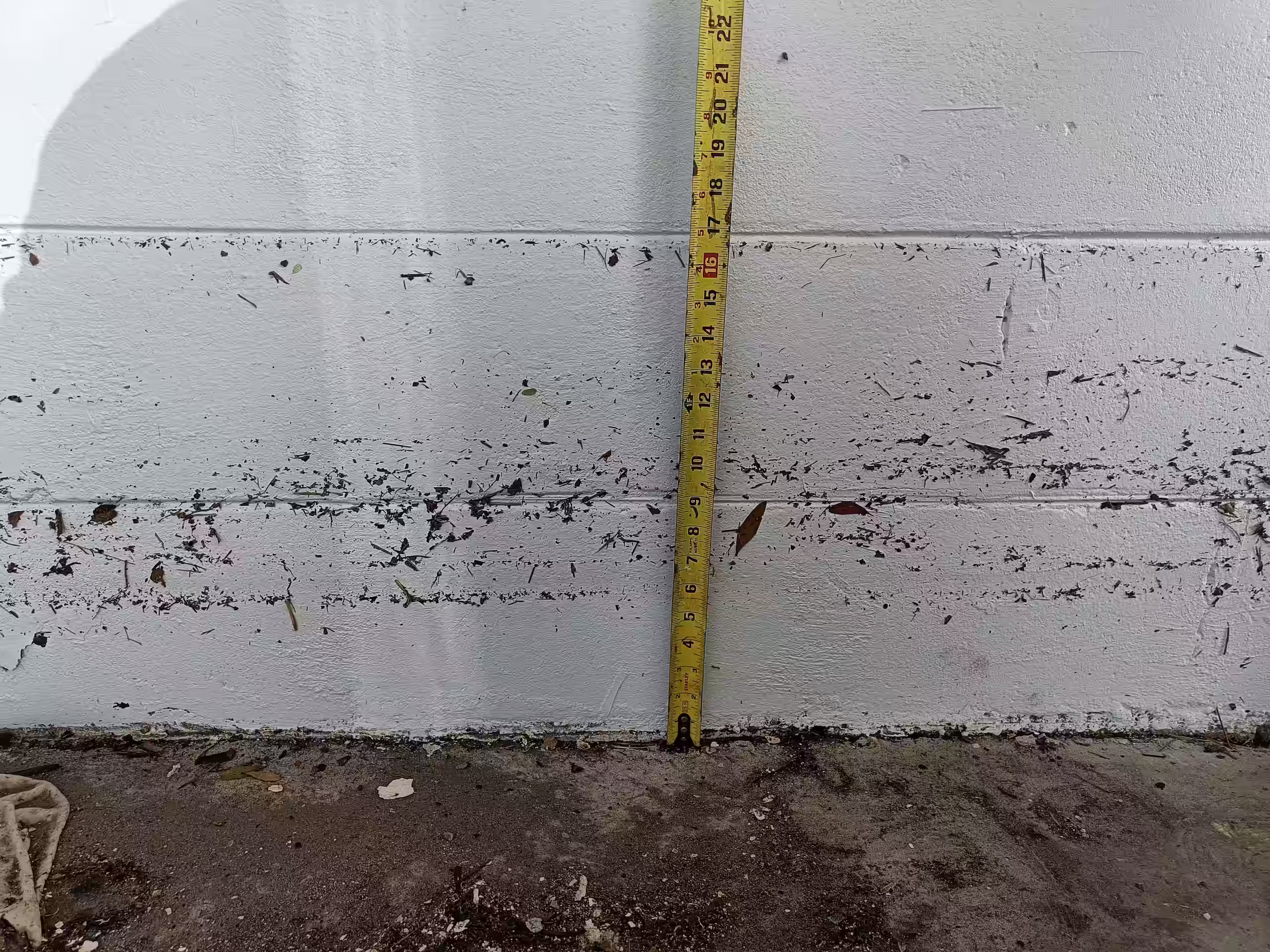 Photo of water damage showing flood waters reached height over 16 inches