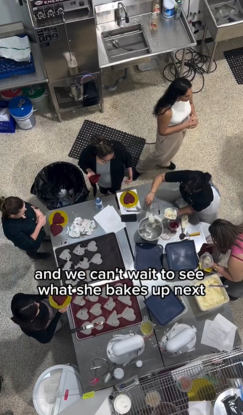 image of curriculum materials for preschools & daycare