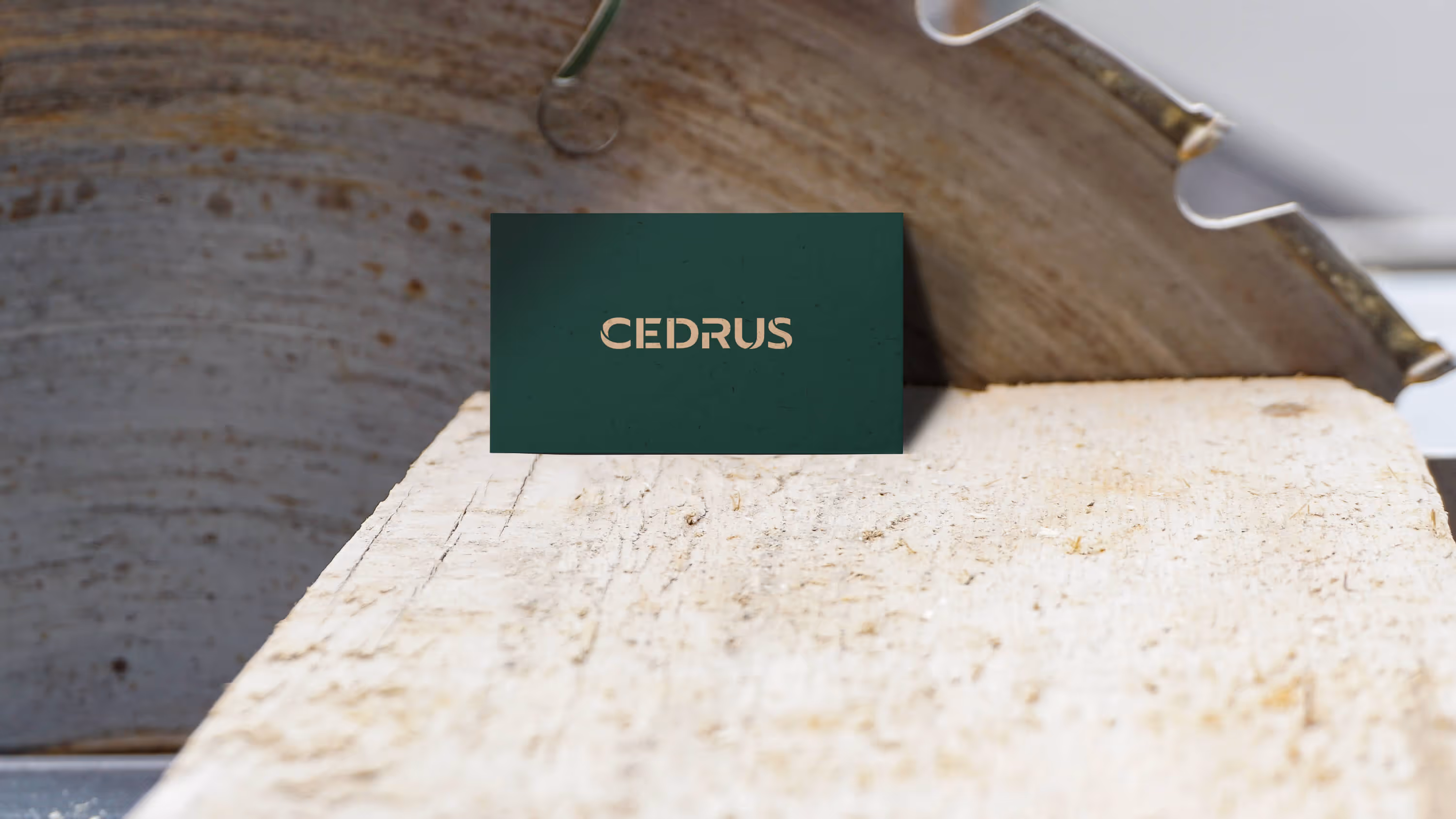 Cedrus es un taller de ebanistería contemporánea especializado en el detalle artesanal de cada proyecto, aportando valor y distinción en cada pieza.
