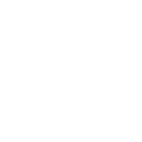 Close icon white
