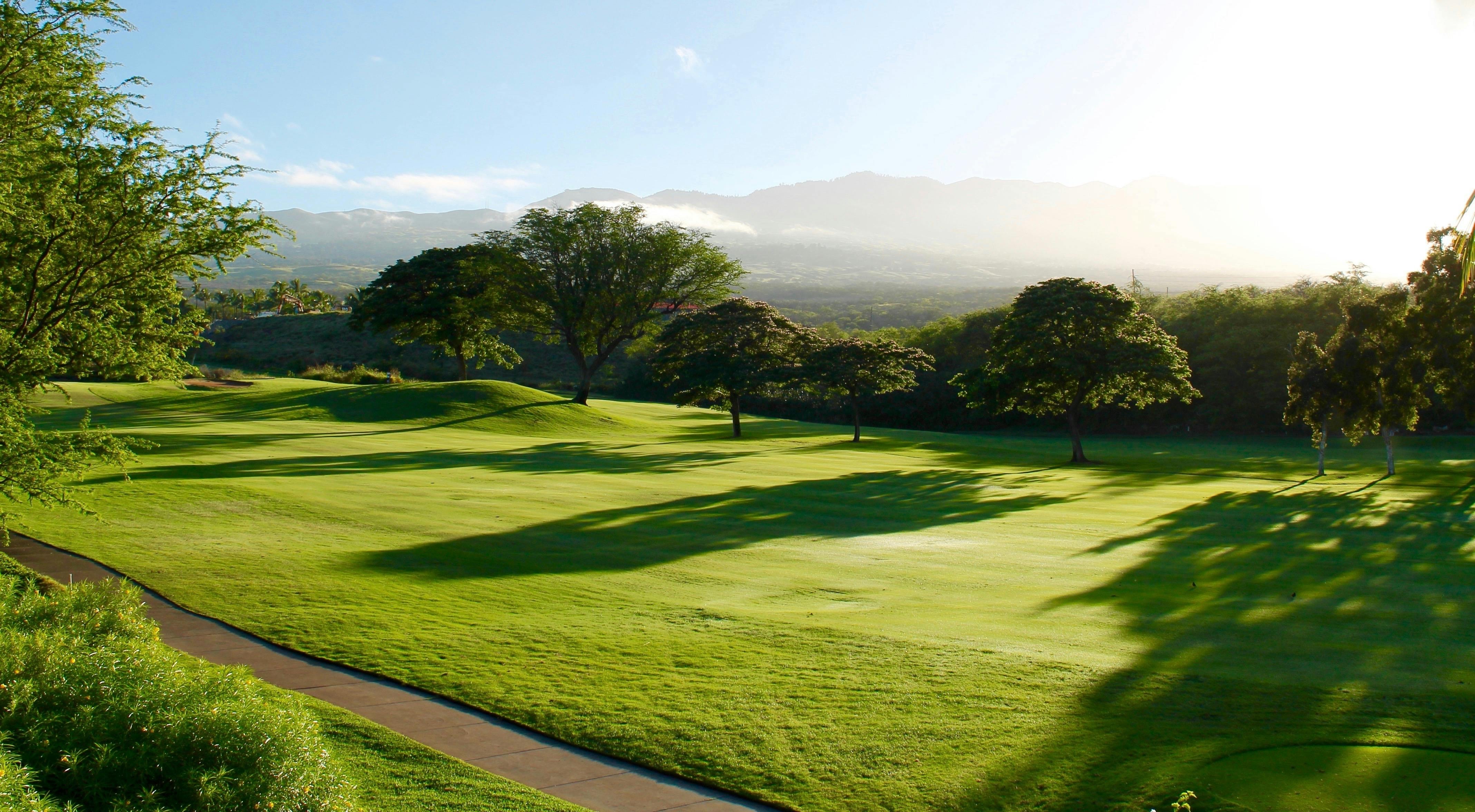 Green leaf trees on grass field golf course by 10 Star