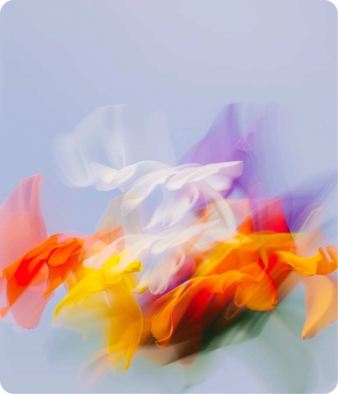 Abstract motion-blur image of colorful flower petals in white, purple, red, orange, and yellow on a light blue background.