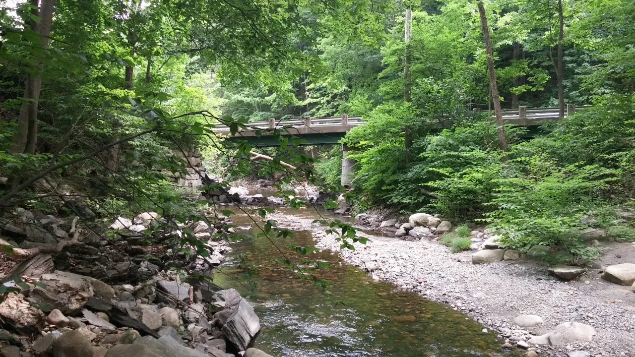 Monitoring site image