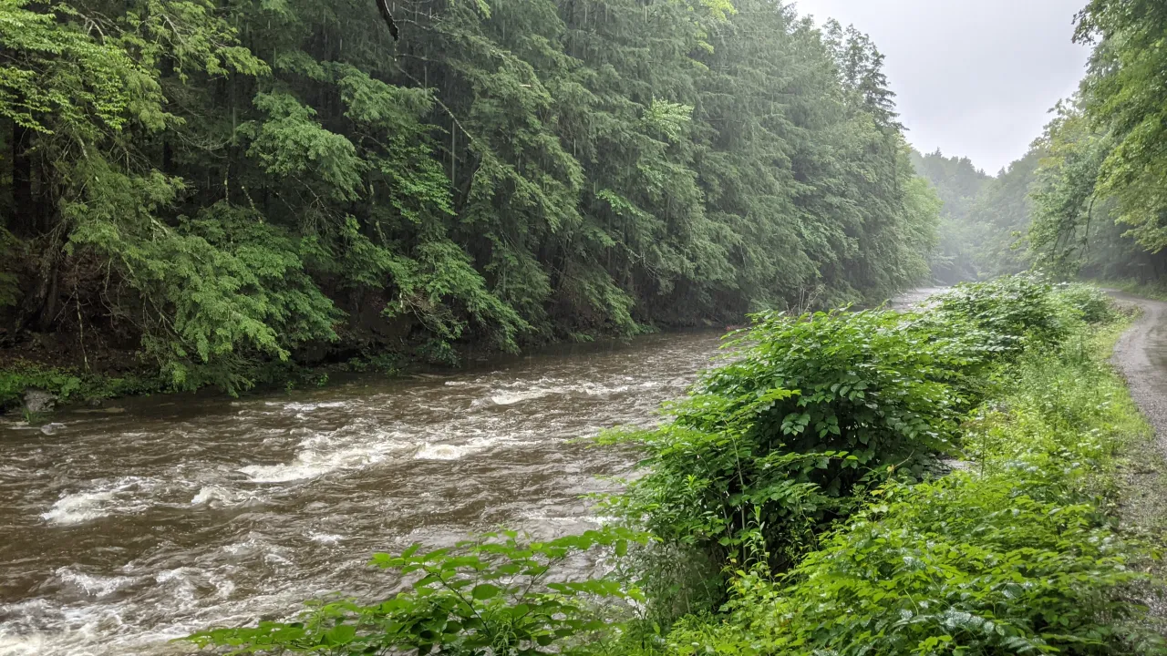 Monitoring site image