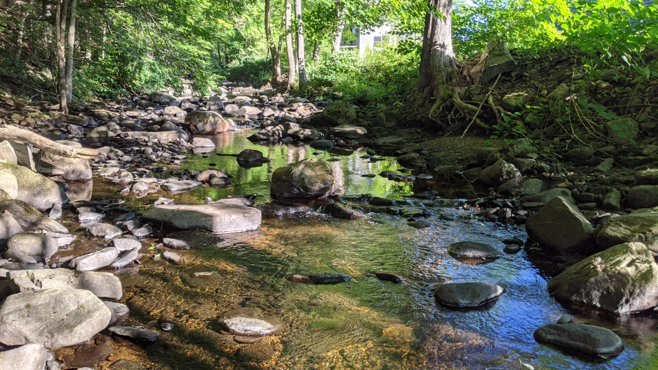 Monitoring site image