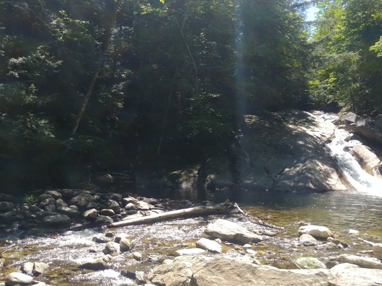 Monitoring site image