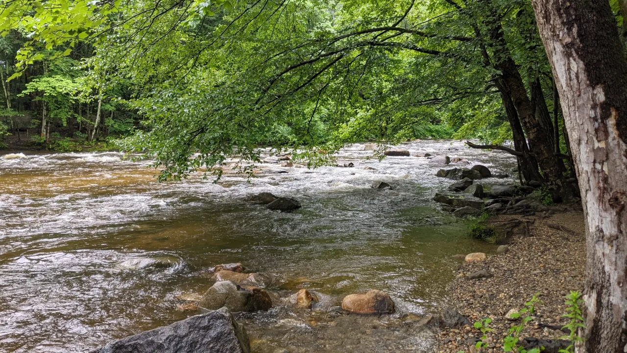 Monitoring site image