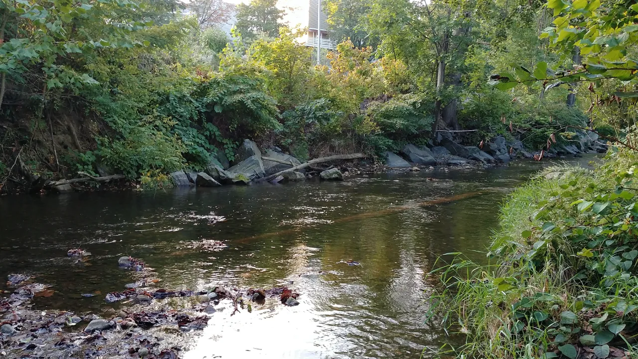 Monitoring site image