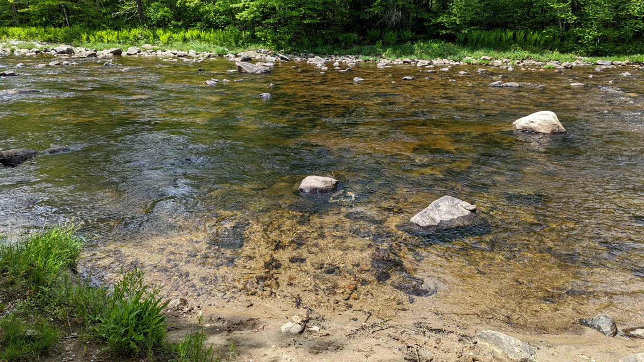 Monitoring site image