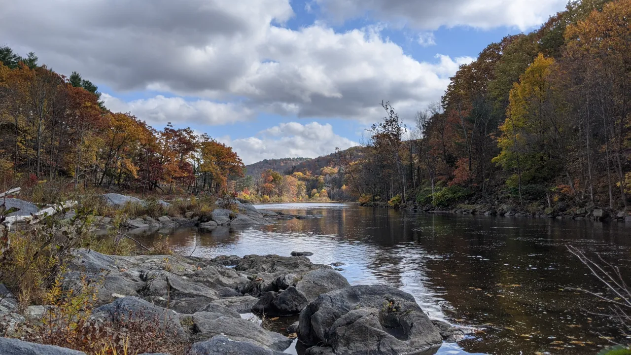 Monitoring site image