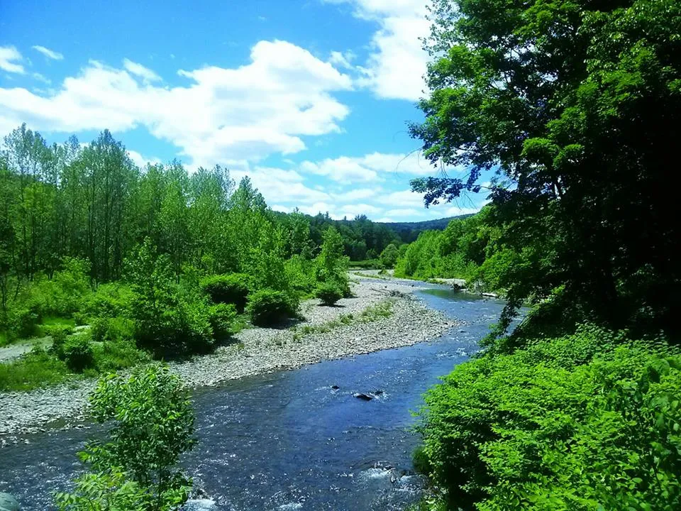 Monitoring site image
