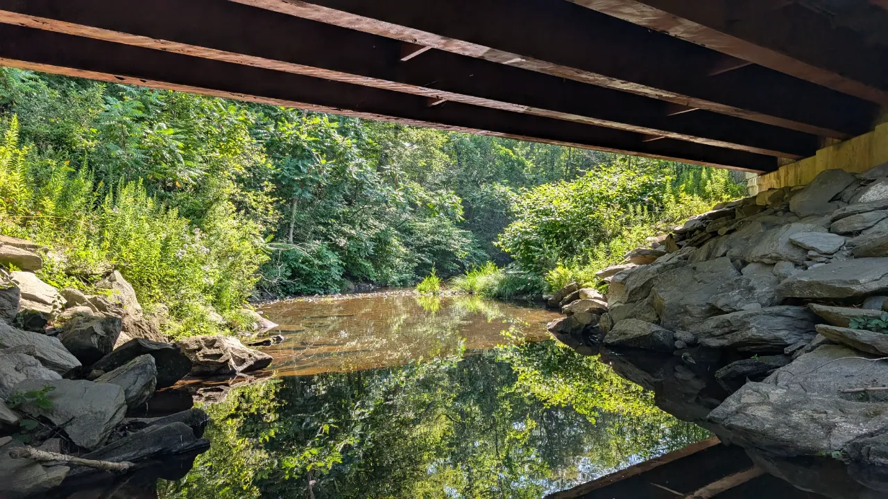 Monitoring site image