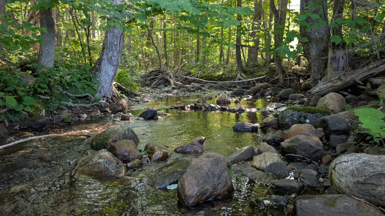 Monitoring site image