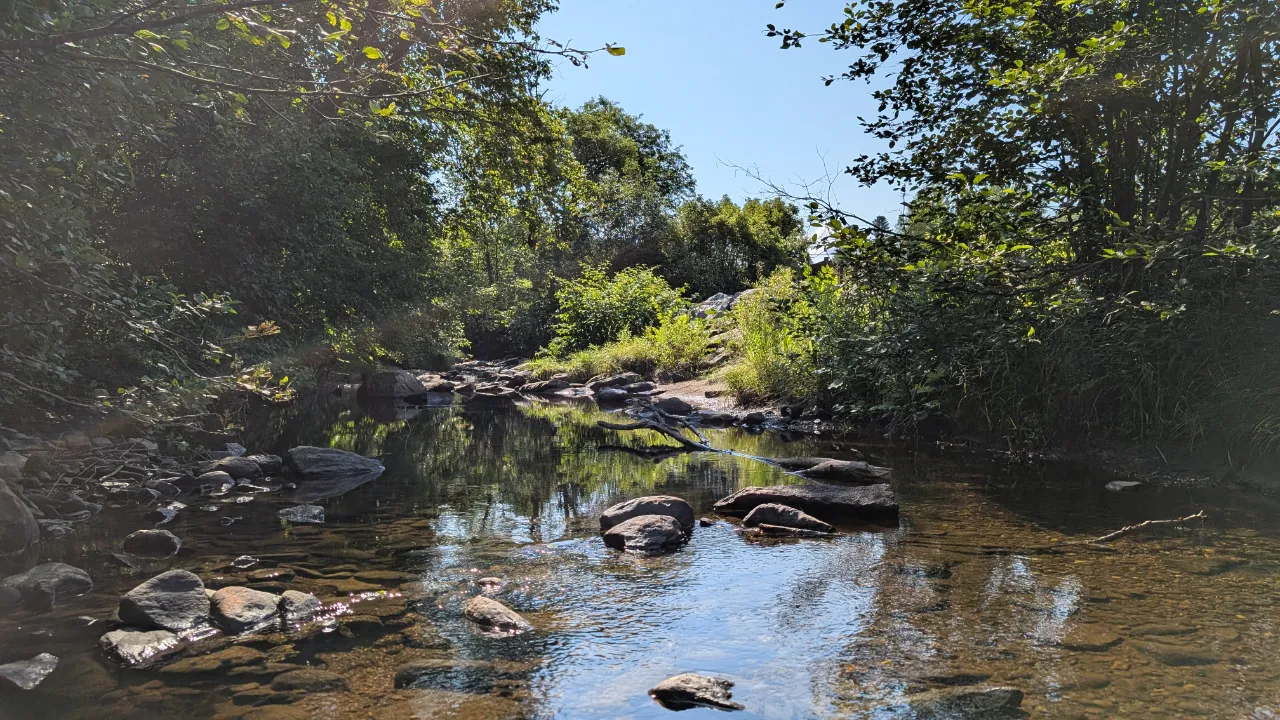 Monitoring site image