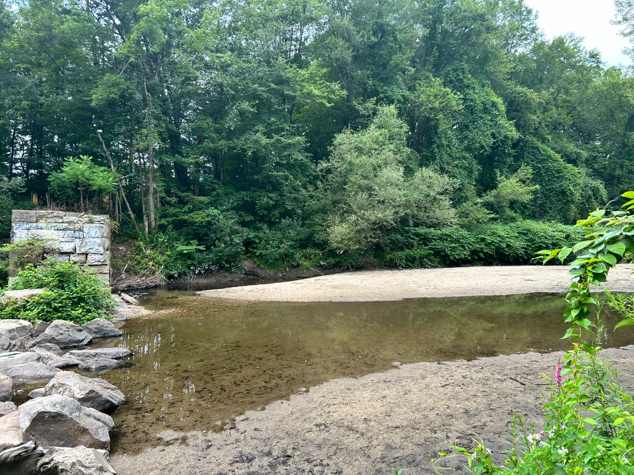 Monitoring site image