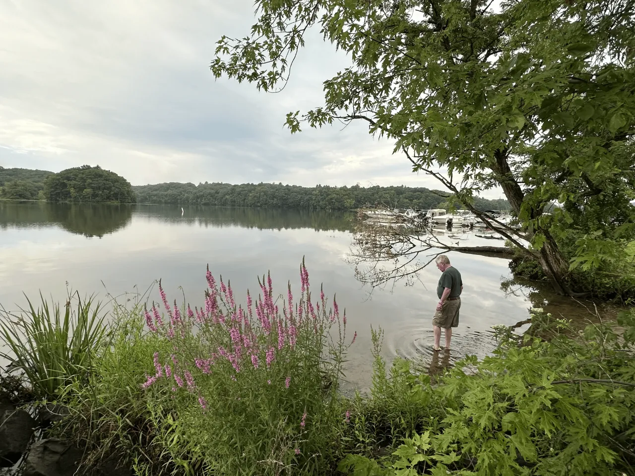 Monitoring site image