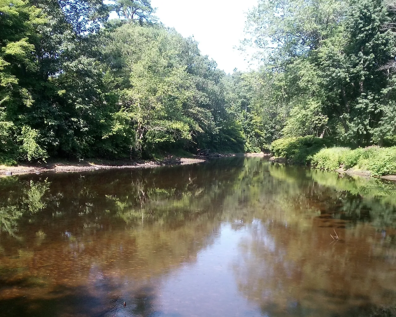 Monitoring site image